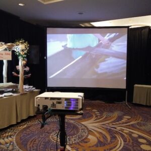 Bali-Wedding-Projector-4