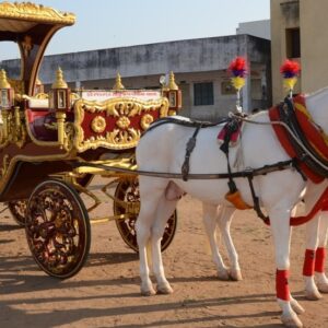 GHODI BAGI